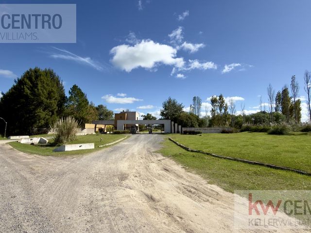 place photo 46