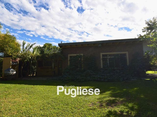 place photo 19