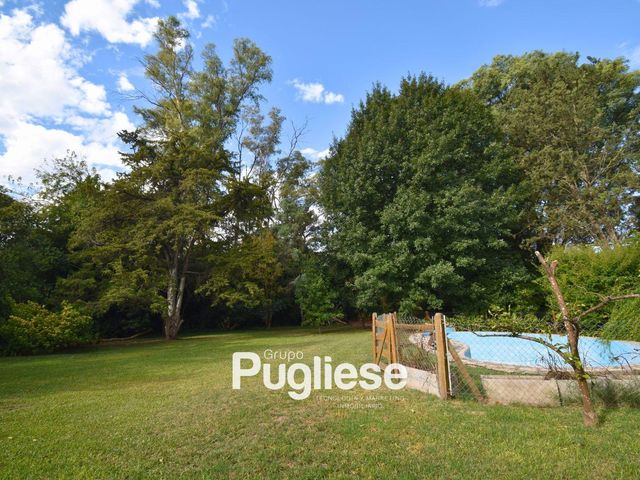 place photo 26