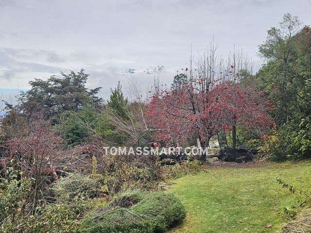 place photo 53
