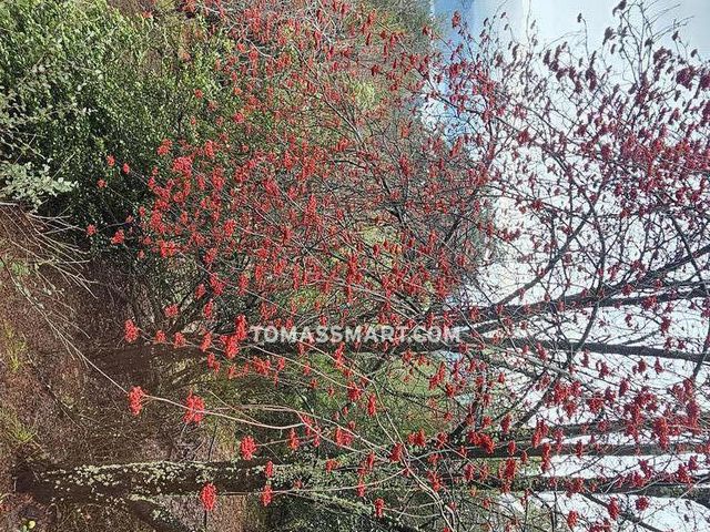 place photo 83