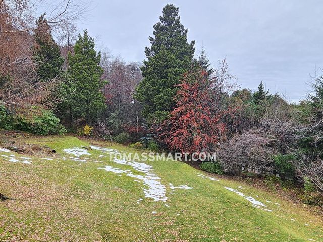 place photo 48