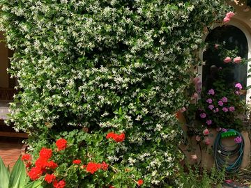 place photo 64