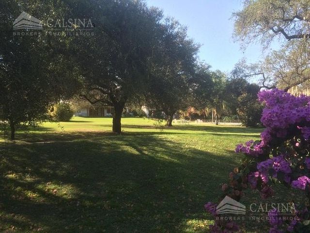 place photo 36