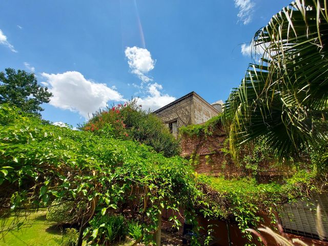 place photo 57