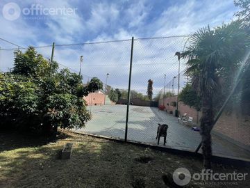 place photo 18
