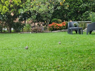 place photo 65