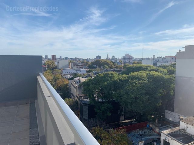 place photo 21