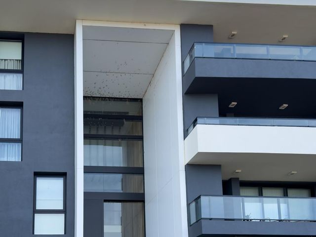 place photo 31