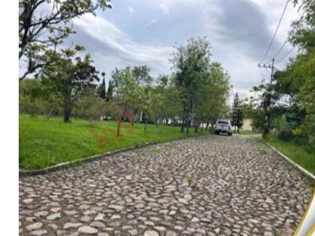place photo 44