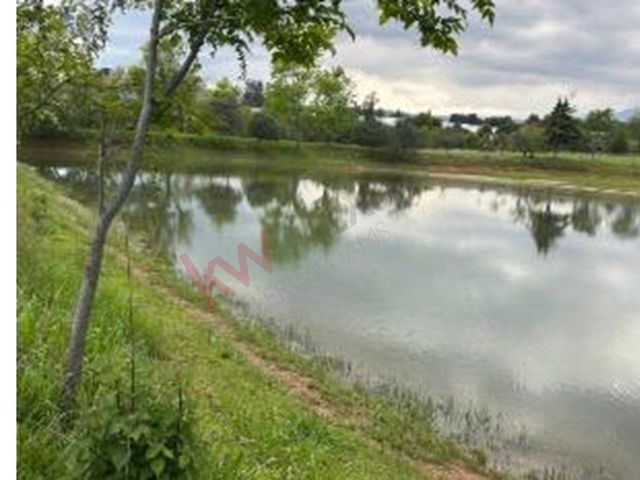 place photo 39