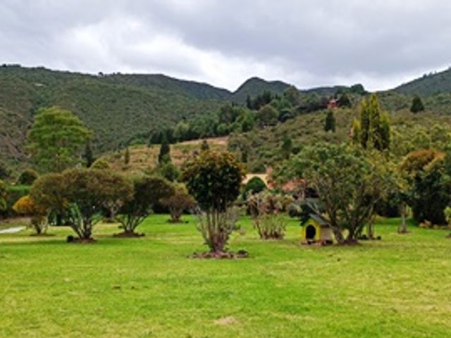 place photo 26