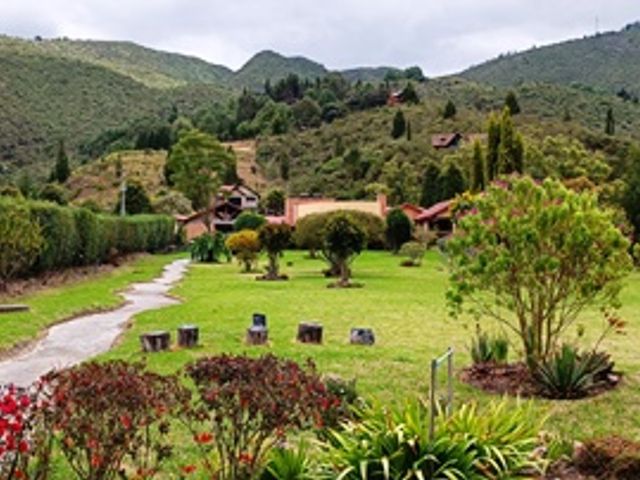 place photo 25