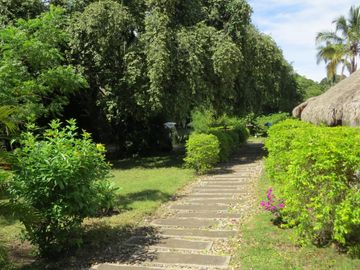 place photo 18