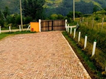 place photo 31