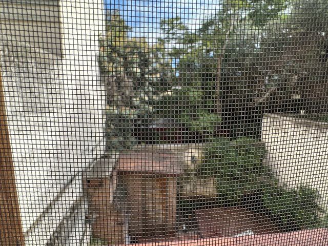 place photo 70