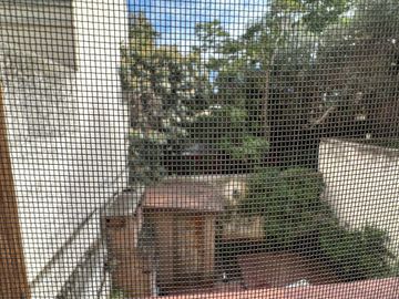 place photo 70
