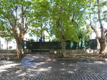 place photo 24