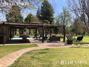 place photo 46