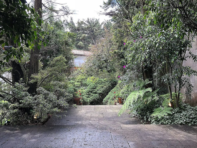 place photo 27