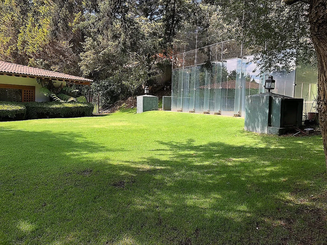 place photo 31
