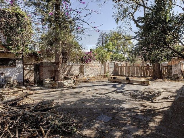 place photo 21