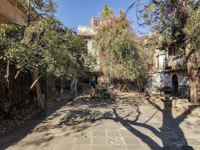 place photo 14
