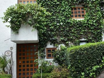 place photo 49
