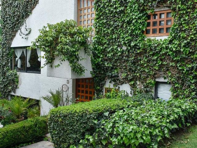 place photo 48
