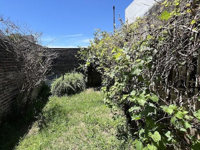 place photo 23
