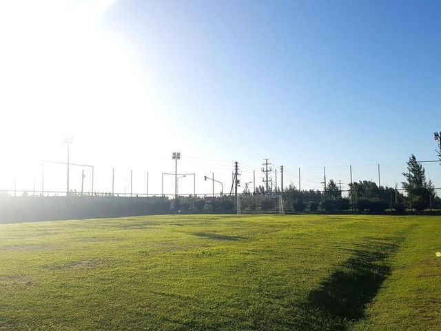 place photo 34