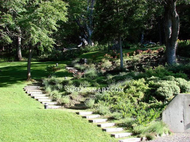 place photo 65