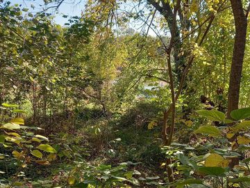 place photo 43