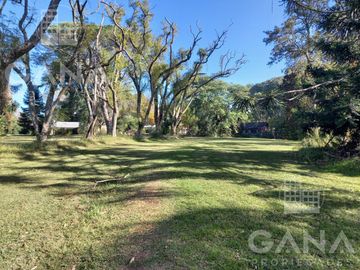 place photo 42
