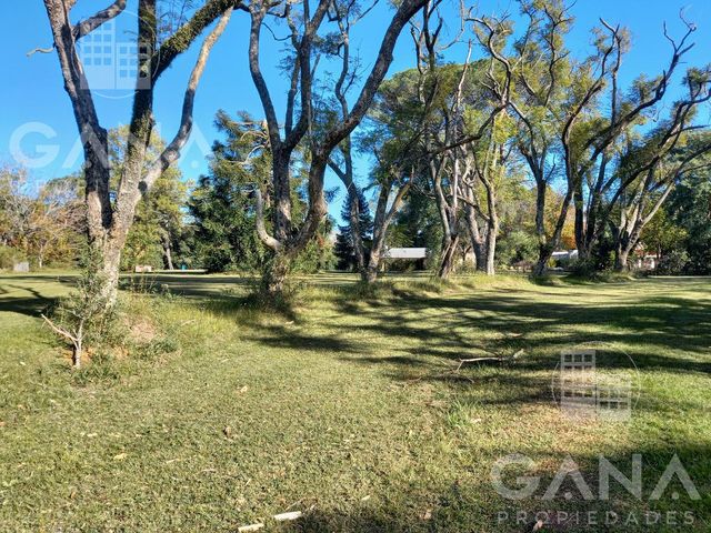 place photo 41