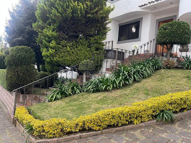 place photo 46