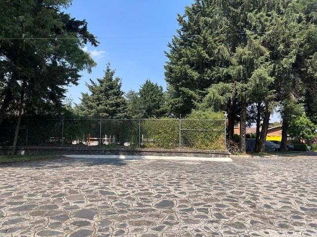 place photo 48