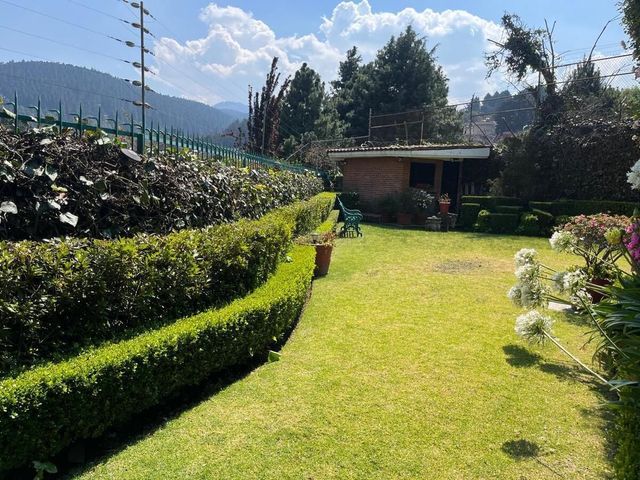 place photo 44
