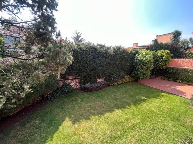 place photo 43