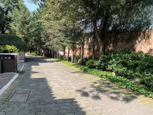 place photo 44