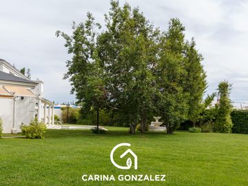 place photo 46