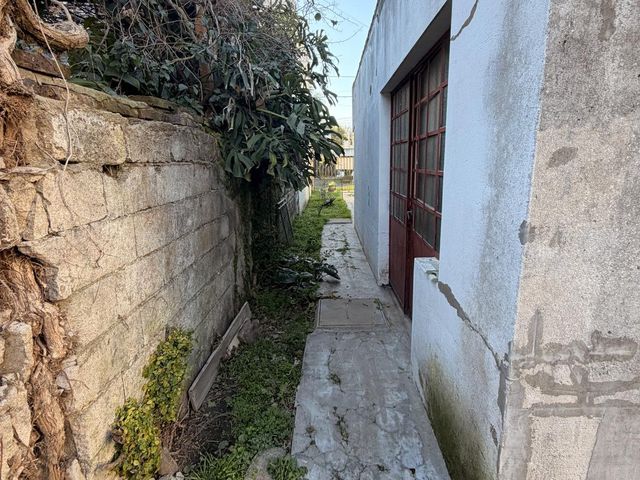 place photo 46