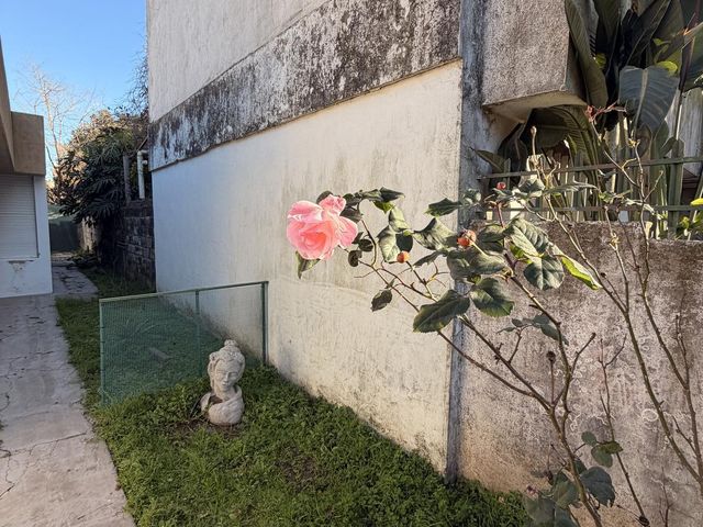 place photo 48