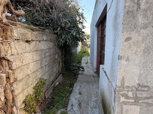 place photo 56