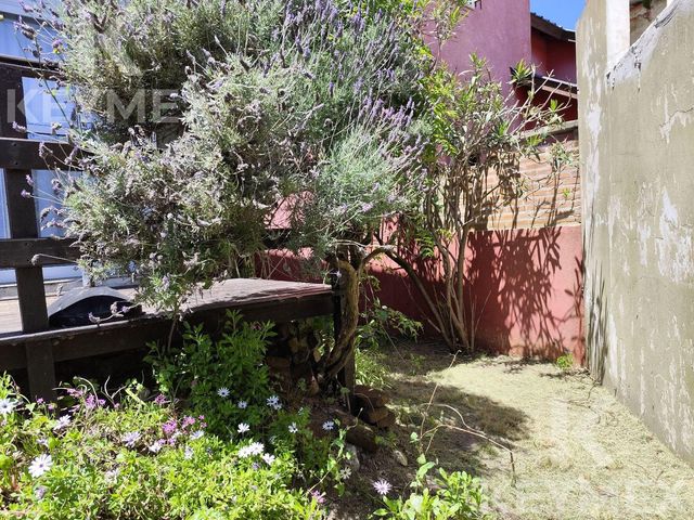 place photo 49