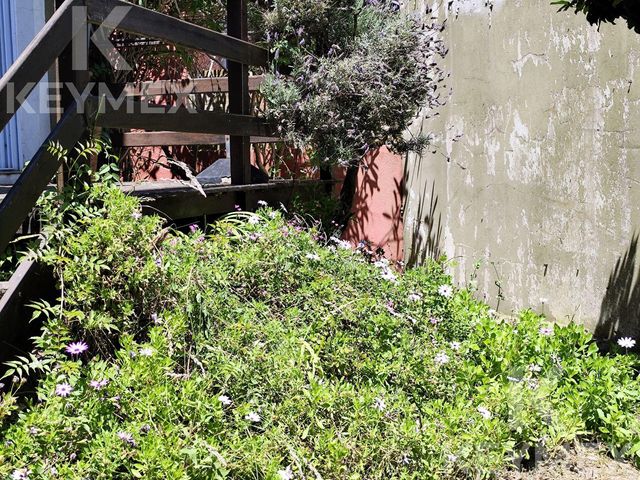 place photo 50