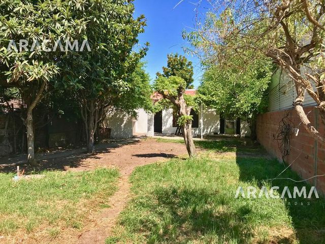 place photo 18