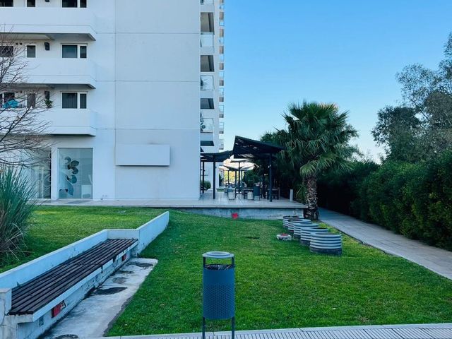 place photo 37