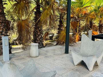 place photo 36
