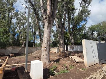 place photo 22